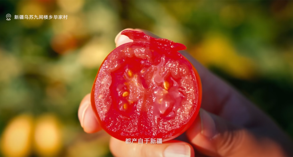 新疆番茄