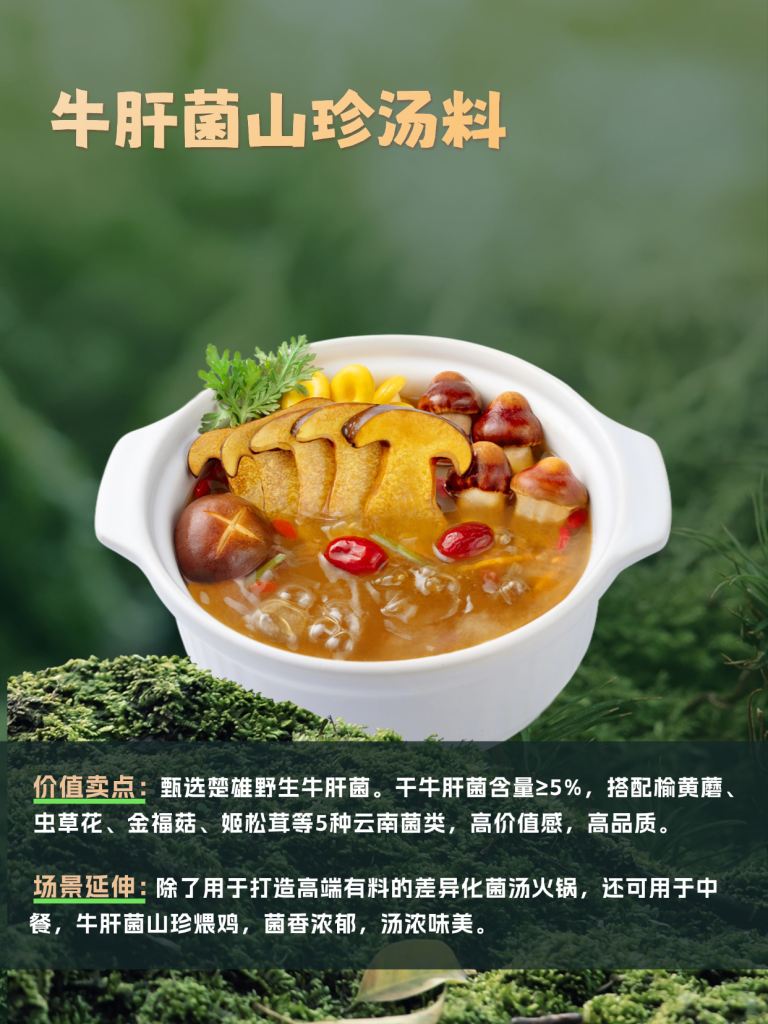 牛肝菌山珍汤料