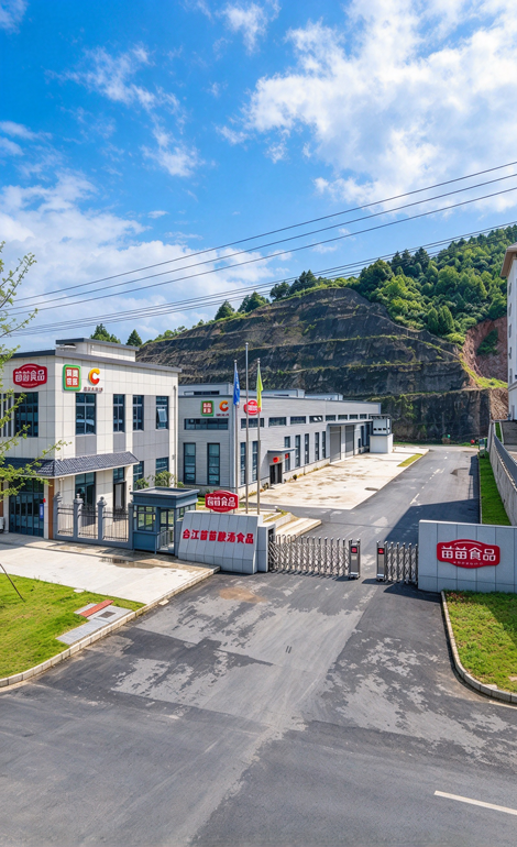 番茄汤料全国销量第一