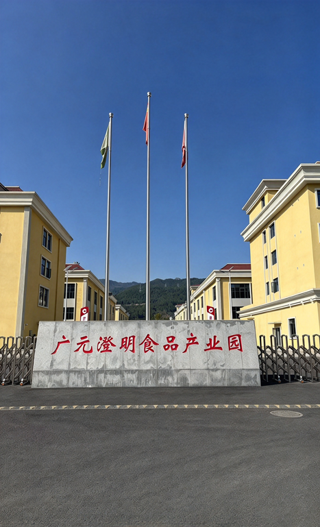中国番茄汤料第一品牌